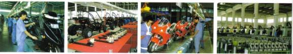ECO IMPORT INTERNATIONAL ECO IMPORT INTERNATIONAL
