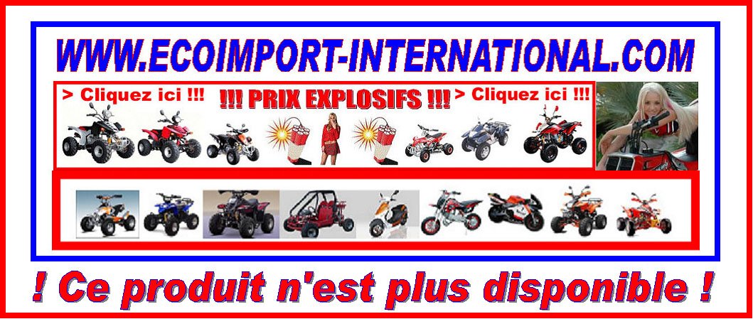 Quad bashan 250cc homologué route QUAD BASHAN 250cc HOMOLOGUE ROUTE