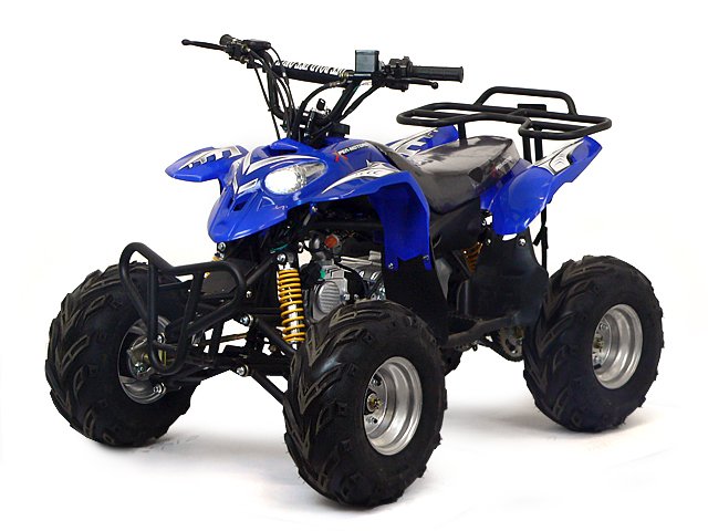 Quad polaris replica 110cc polar x