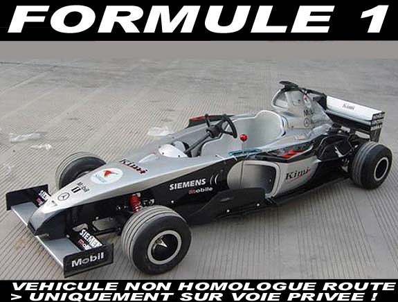 FORMULE 1 MOTEUR 110cc FORMULE 1 MOTEUR 110cc F1