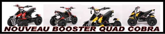 Booster quad cobra 2009&nbsp;2010 !