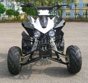 Quad 110cm3