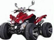 QUAD 250cc COBRA CITY