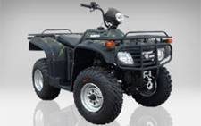 QUAD PUMA 250cc HOMOLOGUE