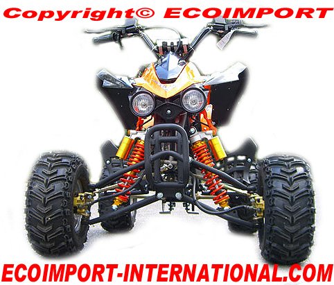 Quad panthera 110cc Ecoimport
