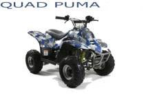QUAD PUMA 110cc