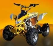 QUAD LYNX 110cc