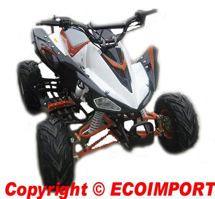 Quad carbon 110cc K1