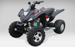 quad lynx 350cc homologue