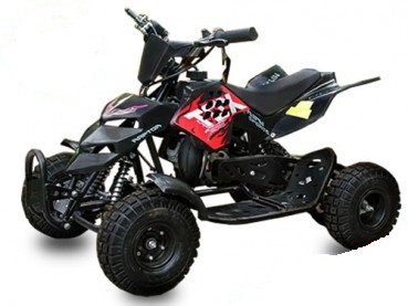 pocket-quad-raptor-2011-2012