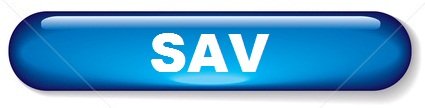 Ecoimport service sav