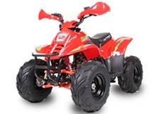 Quad big foot 125cc pas cher