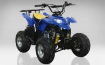 QUAD ENFANT TERMINATOR