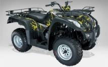 QUAD HOMOLOGUE ARMY 250cc