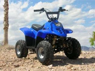 quads
