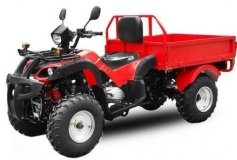 quad 200cc pick up neo homologue pas cher