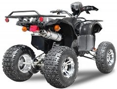 quad 250cc utilitaire pas cher