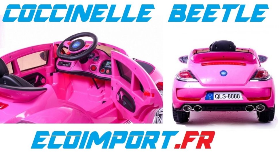 coccinelle beetle idee cadeau noel fille pas chere