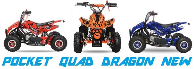 pocket quad dragon new a vendre pas cher