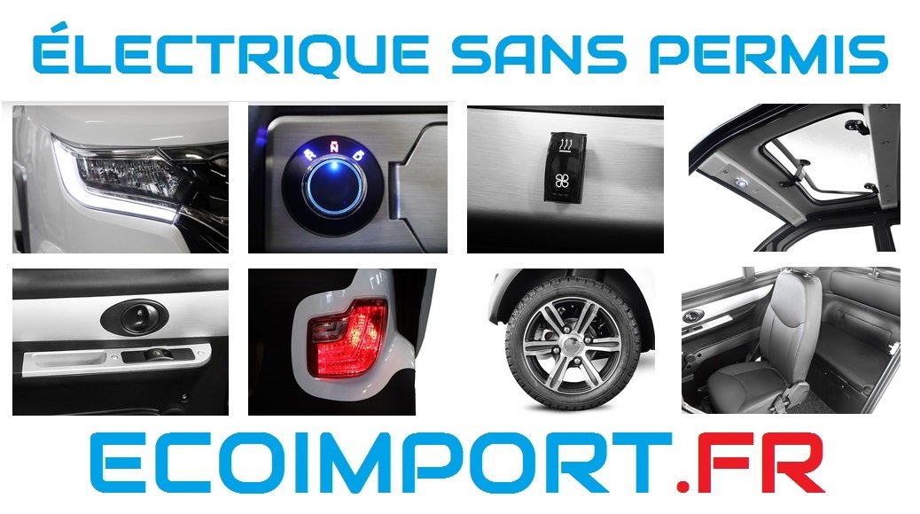 voiture electrique sans permis avec bsr