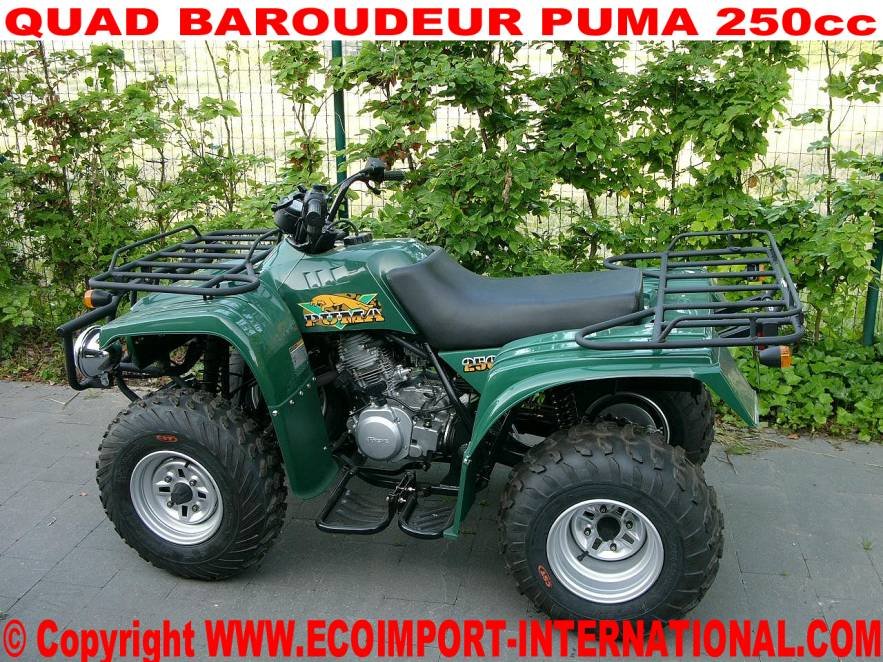 Quad baroudeur Puma 250cc look Yamaha atv