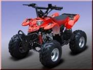 QUAD POLARIS REPLICA 110cc
