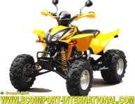 QUAD SHINERAY 300cc HOMOLOGUE