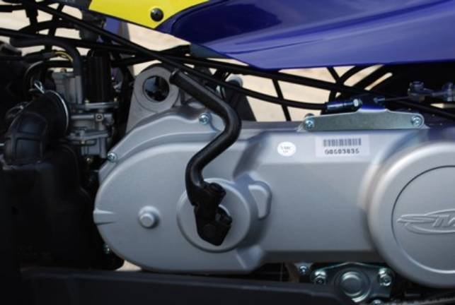 quad 50 homologue route