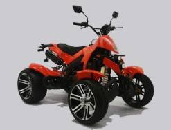 quad cobra neuf pas cher