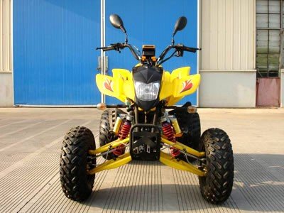 quad-250cc-terminator-moteur-bashan