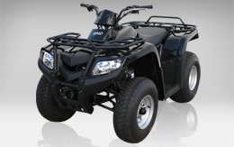 quad 200cc loncin
