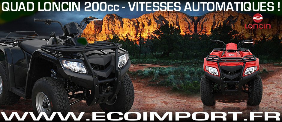 quad loncin 200cc homologue