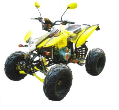 QUAD HOMOLOGUE 200cm3