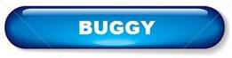 Vente buggy pas cher ecoimport