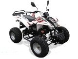 quad 150cc furious homologue