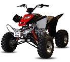 quad 150cc scorpion neo non homologue