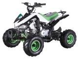 quad-enfant-ado-panthera-110cc-new