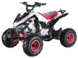quad-enfant-panthera-110cc-new