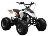 achat quad homologue route furious 50cc